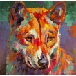 Dingo